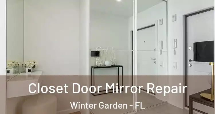  Closet Door Mirror Repair Winter Garden - FL