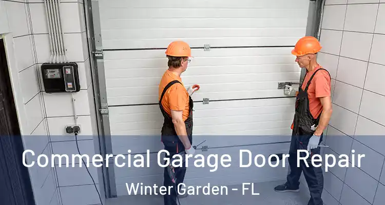  Commercial Garage Door Repair Winter Garden - FL