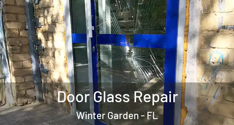  Door Glass Repair Winter Garden - FL