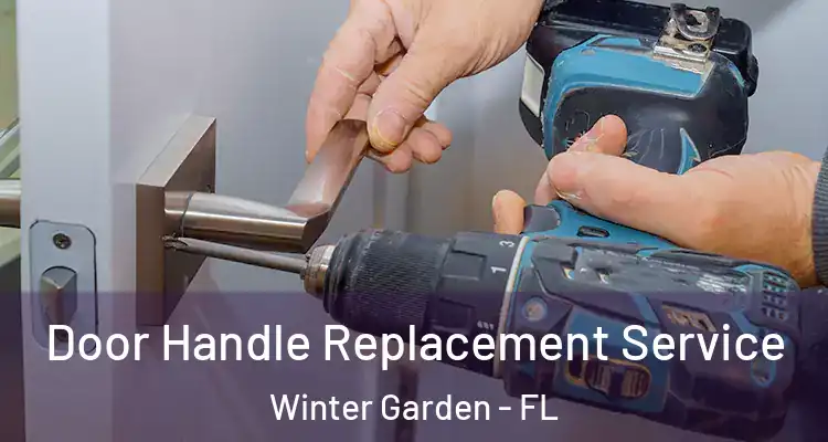  Door Handle Replacement Service Winter Garden - FL