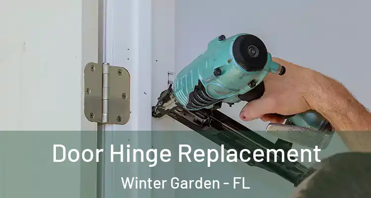  Door Hinge Replacement Winter Garden - FL