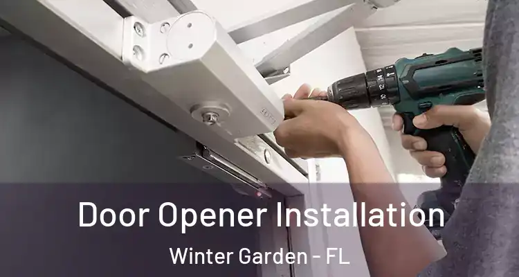  Door Opener Installation Winter Garden - FL