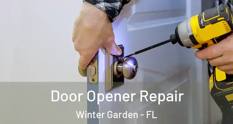  Door Opener Repair Winter Garden - FL