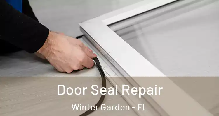  Door Seal Repair Winter Garden - FL