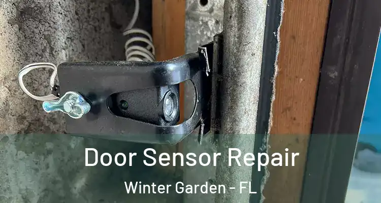 Door Sensor Repair Winter Garden - FL