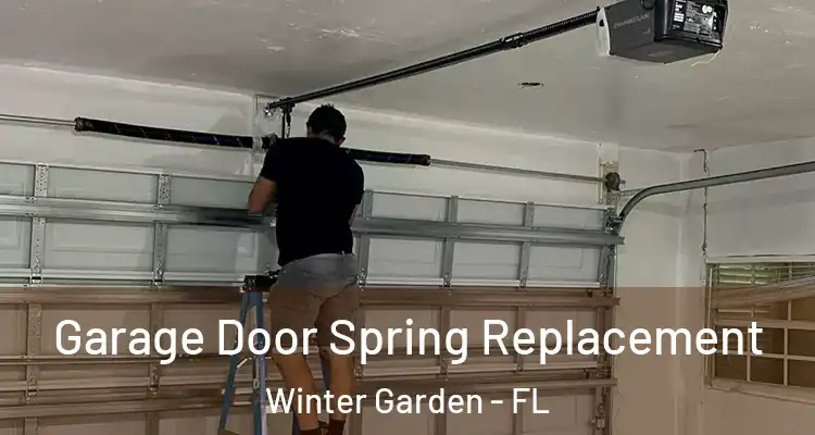  Garage Door Spring Replacement Winter Garden - FL
