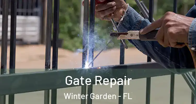  Gate Repair Winter Garden - FL