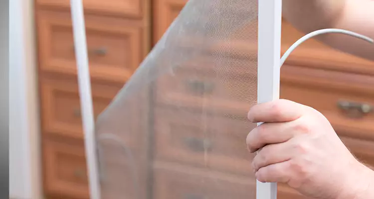 Privacy Mesh Screen Door Installation in Winter Garden, FL