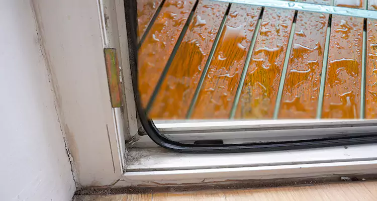 Water Leaking Wooden Patio Doors Repair in Winter Garden, FL