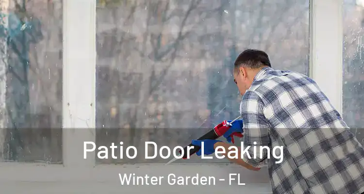  Patio Door Leaking Winter Garden - FL
