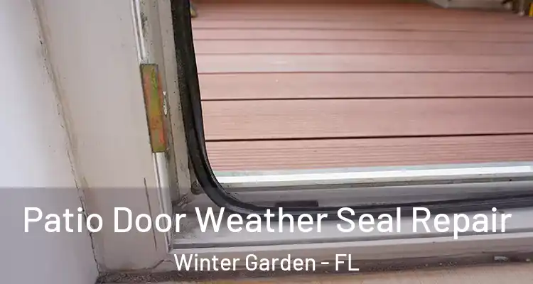  Patio Door Weather Seal Repair Winter Garden - FL