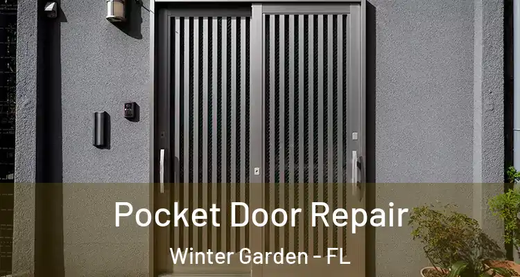  Pocket Door Repair Winter Garden - FL