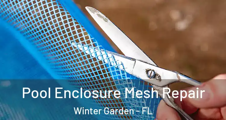  Pool Enclosure Mesh Repair Winter Garden - FL