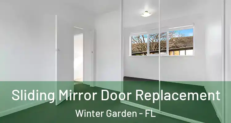  Sliding Mirror Door Replacement Winter Garden - FL