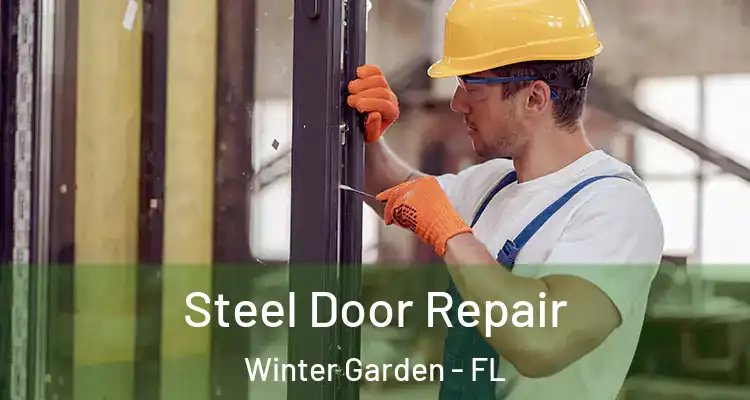  Steel Door Repair Winter Garden - FL