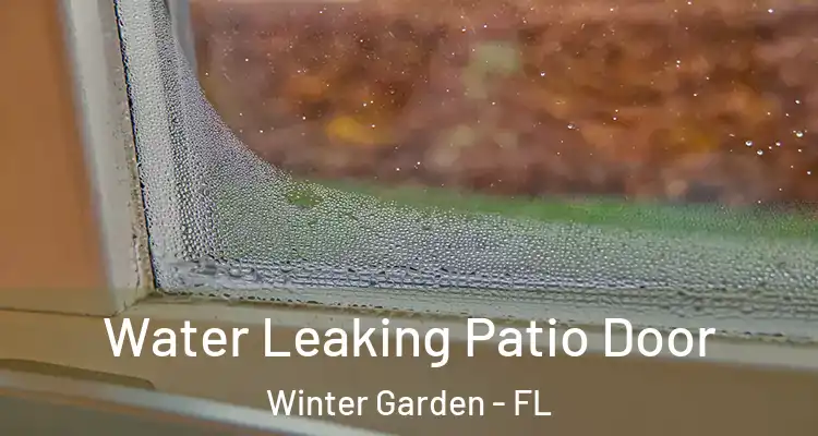  Water Leaking Patio Door Winter Garden - FL